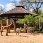 Oldest Zoo in the World: History, Location, and Fascinating Facts 2 Oldest Zoo